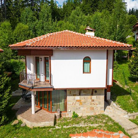 Pamporovo Cottage Savov Екстер'єр фото